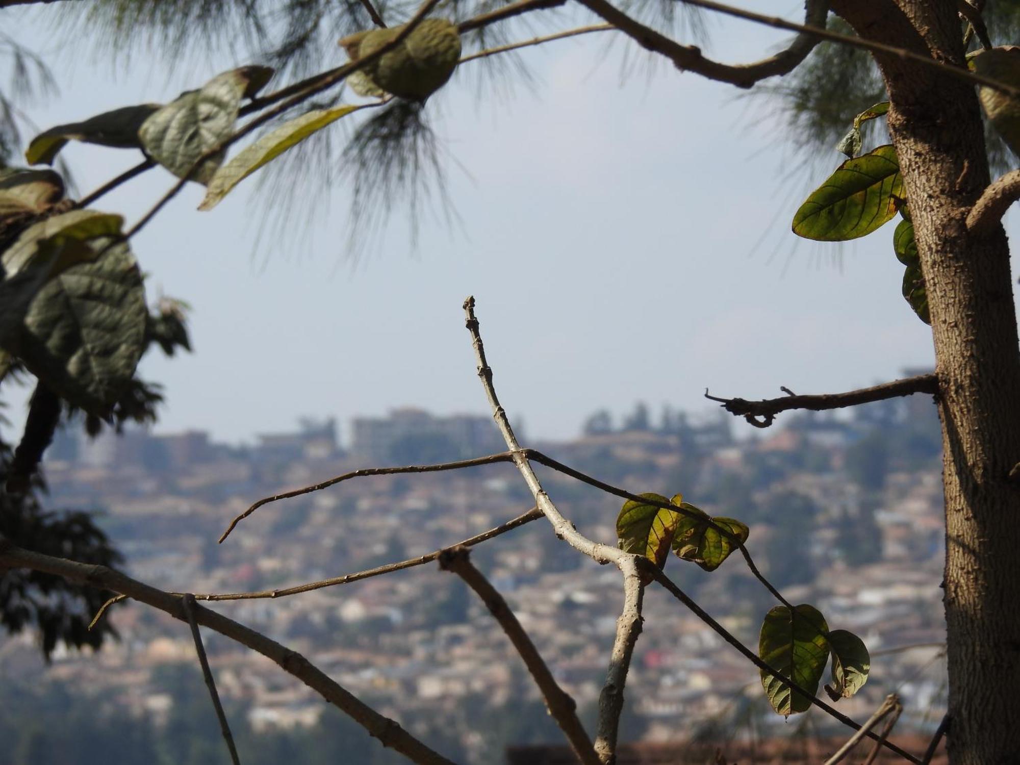 Rwandeka Daire Kigali Dış mekan fotoğraf