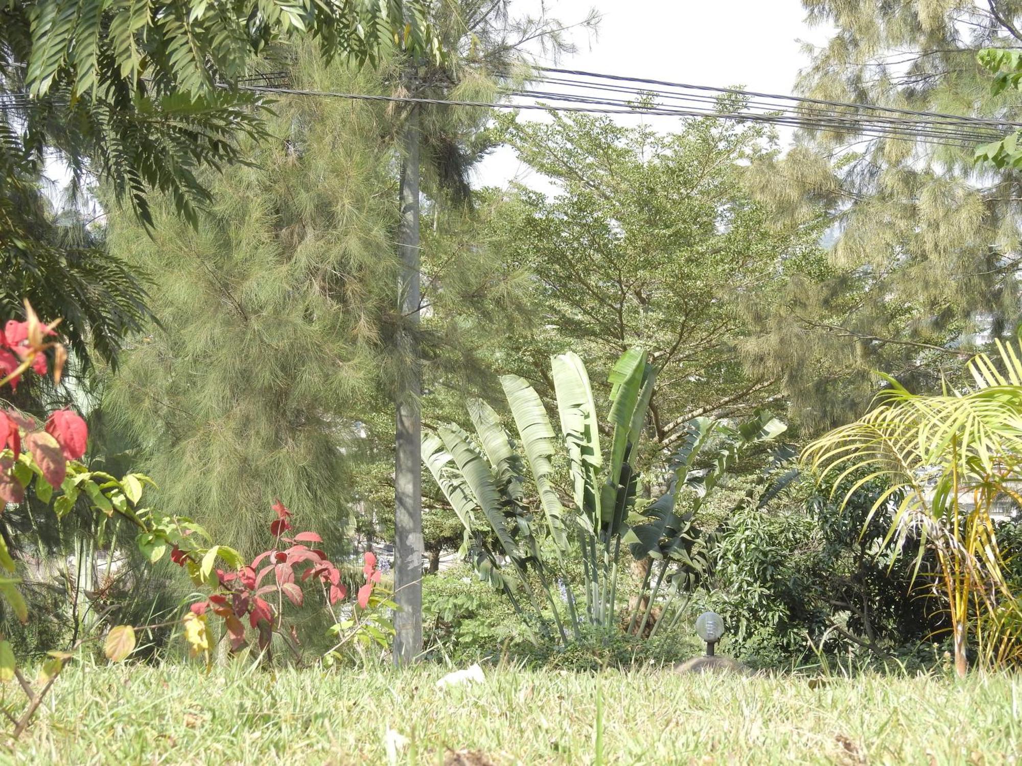 Rwandeka Daire Kigali Dış mekan fotoğraf